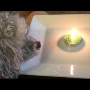 Meet your Posher, Francisca